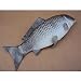 MagiDeal Artificial Realistic Freshwater Carp Imitation Model Toy Pretend Food Grey