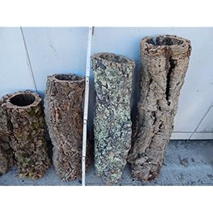 Korkröhre ca. 60 - 80 cm ,Korkrinde, Korkeiche, Terrarium