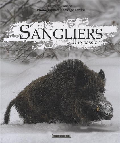 Download Sanglier