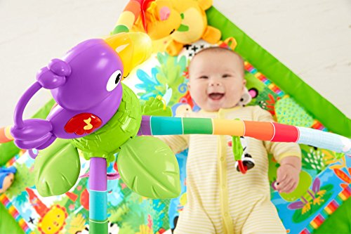 Mattel Fisher-Price DFP08 Rainforest Erlebnisdecke mit farbenfrohen Motiven - 7