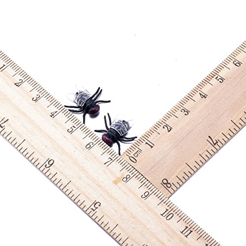 German Trendseller® – 24 x Stuben Fliege ┃ Horror ┃ Dekoration ┃ Halloween ┃ Scherzartikel ┃ 24 Stück - 4