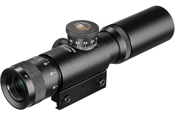 ACEXIER 4X Lunette de Chasse à air comprimé compacte Lunette de visée Optique Tactique Lunette de visée à réticule gravée avec Capuchons d'objectif Ouverts