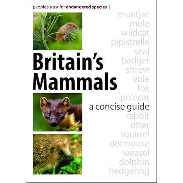 Mammals of Britain and Europe (Collins Field Guide): Amazon.co.uk