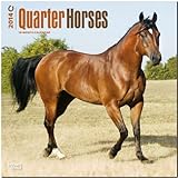 Quarter Horses 2014: Original BrownTrout-Kalender [Mehrsprachig] [Kalender] by 