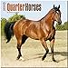 Quarter Horses 2014: Original BrownTrout-Kalender [Mehrsprachig] [Kalender] by 