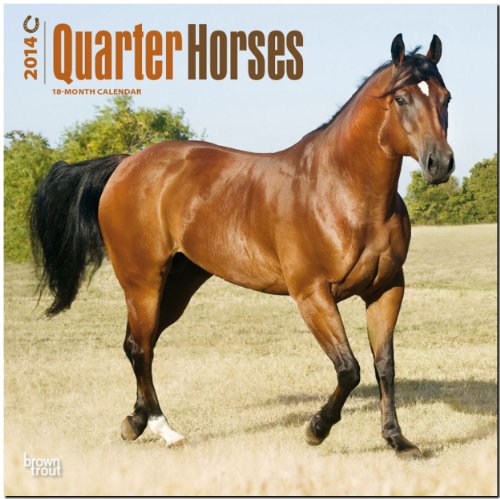 Quarter Horses 2014: Original BrownTrout-Kalender [Mehrsprachig] [Kalender]