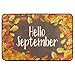 Produktbild Wamika Fußmatte, Herbstfall, Rutschfest, waschbar, Hello September, Herbstblätter, für drinnen und draußen, 60 x 40 cm