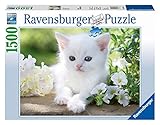 Calidad Ravensburger Ravensburger - Gatito Blanco, Puzzle de 1500 Piezas (16243 7)