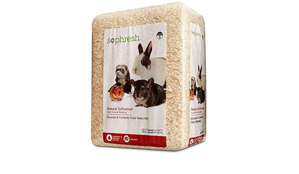 the educator e collar