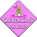TED BALL * GRANDDAUGHTER ON BOARD * car window sign