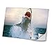 Produktbild Wilde Tiere 10100, Shark, Skin-Aufkleber Folie Sticker Laptop Vinyl Designfolie Decal mit Ledernachbildung Laminat und Farbig Design für Laptop 10.2"