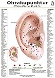 Image de Ohrakupunktur Mini-Poster - chinesische Punkte DIN A4