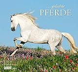... geliebte Pferde 2014 by Christiane Slawik