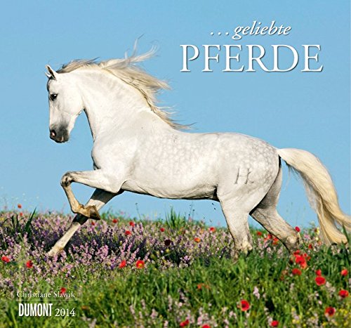 ... geliebte Pferde 2014