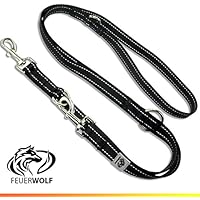 [Gesponsert]FEUERWOLF Hundeleine 3-fach längenverstellbar 2 Meter lang - Doppelleine -  Für mittlere und große Hunde - Robust und stabil - Beidseitig reflektierend - schwarz