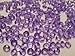 Produktbild 4000 Light Purple Diamond Scatter Crystals Wedding Table Decoration by Wonderland Home by Wonderland Home