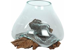 Something Different MG_61338 - Ciotola in vetro fuso con supporto in legno di radice, 1 pezzo, trasparente, 29 x 25 x 21,5 cm, trasparente