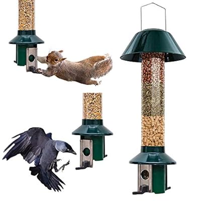 Squirrel Proof Wild Bird Feeder Roamwild Pestoff By Roamwild At