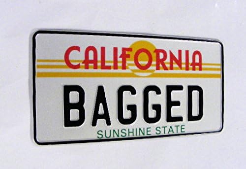 1 of California American Show Pressed Number Plate 300mm x 150mm