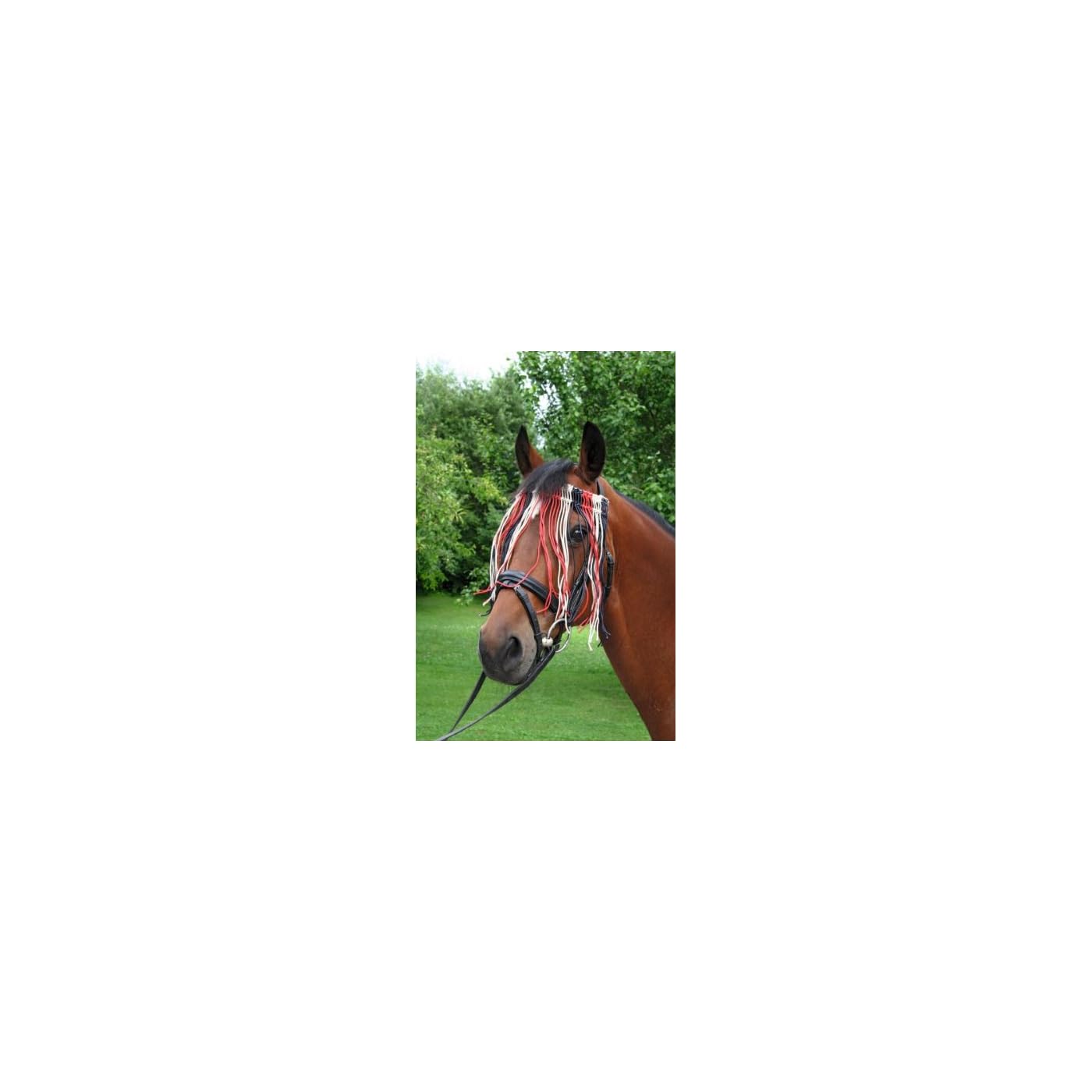 Horse ‘n’ Pony