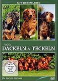  Von Dackeln und Teckeln, 1 DVD