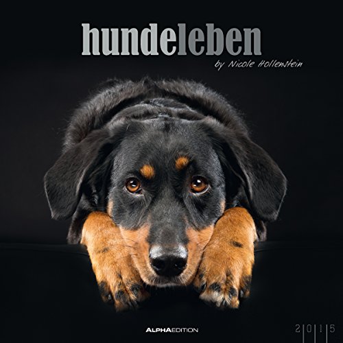 Hundeleben 2015 - Hunde - Bildkalender (33 x 33) - mit Zitaten und Foliendeckblatt - by Nicole Hollenstein