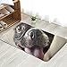 Produktbild vintage cap Boston Terrier Animals Wildlife Dog Fun Welcome Doormat Personalized Indoor Floor Mats Living Room Bedroom Bathroom Door Mat 31.5 X 19.5 Inch