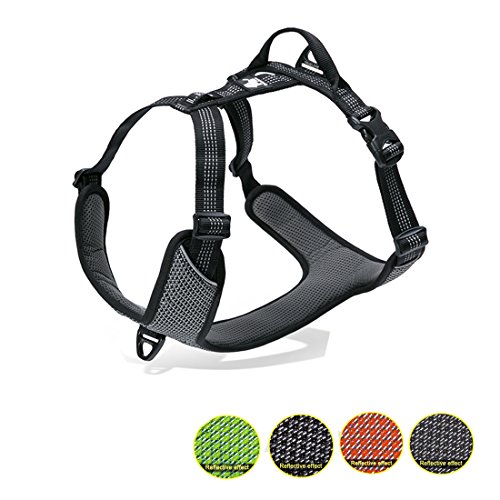 Kaka mall Harnais de Chien, Harnais Rembouré 3M Réfléchissant Extérieur Camping Excursion(M:Tour de Poitrine 56-68CM) Noir