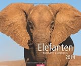 Elefanten 2014 by Weingarten