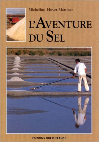 couverture de : L'AVENTURE DU SEL
