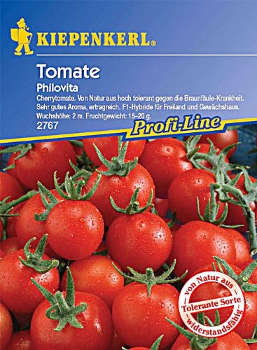 Tomate Philovita F1-Hybride