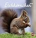 Eichhörnchen Postkartenkalender - Kalender 2019 by 
