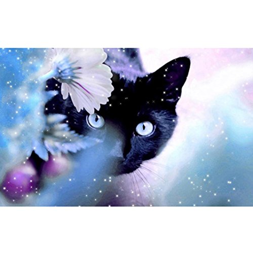 Igemy Katze DIY 5D Diamant Stickerei Anstrich Querheftung Ausgangsdekor Fertigkeit (B)