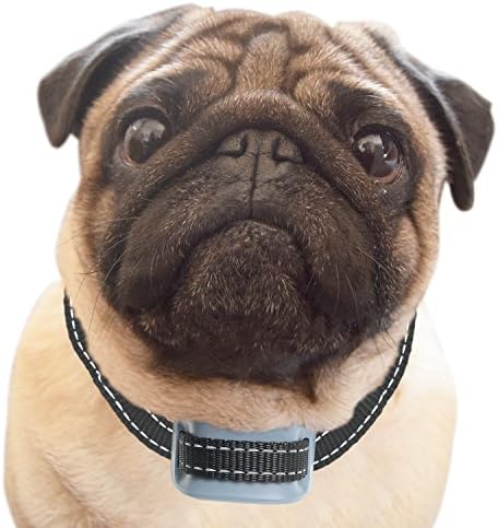 PetSol Intelligent Anti Bark Advanced Dog Stop Barking Collar, Reliably Stops Dogs Barking Safely And Humanely. (Rechargeable, Blue)
