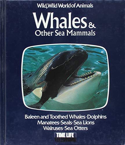 Whales and Other Sea Mammals livre