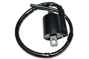 77187321 BOBINA ACCENSIONE COMPATIBILE CON APRILIA SR 50 1994 1995 1996