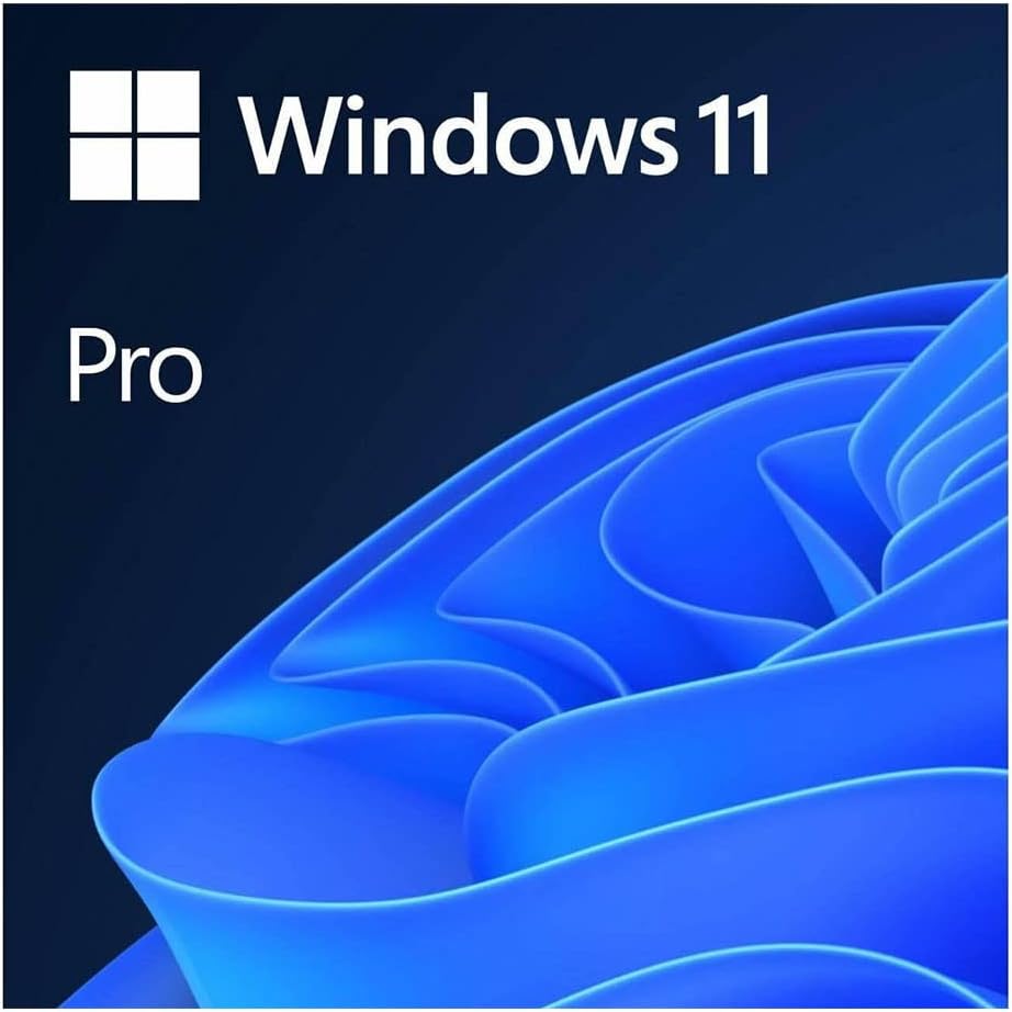 Vue 10