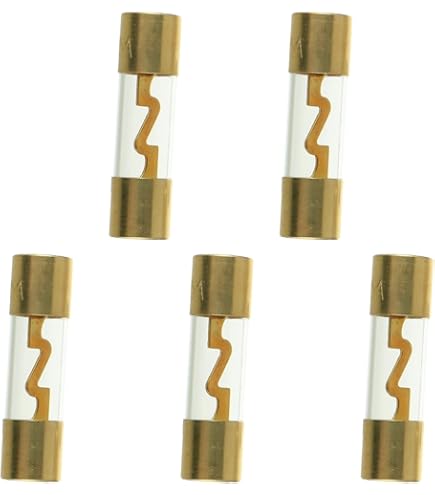 Lot Fusibles Circuit Fusibles Audio Voiture BOJACK 80A - Lot De 5, Verre Plaqué Or, Protection Amplificateur Stéréo Fusible 10a