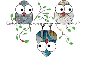 Zayookey Uccelli Multicolori Suncatcher Pannello Decorazione Appendere Finestre Gufo Acchiappasole Sospese per Finestre