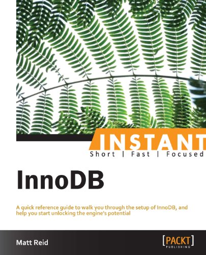 Instant InnoDB (English Edition)