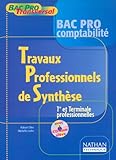 Image de Bac Pro Tranversal : Travaux professionnels de synthèse, Bac pro Comptabilité, 1ère et terminale professionnelles (Manuel, 1 livre + 1 CD-Rom)