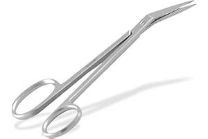 INSTRUMENTENRW Ciseaux à ongles longs pour seniors en acier inoxydable Pedicure avec lame tranchante pour couper les ongles moyens à épais 16 cm