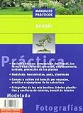 Image de BONSAI (GUÍAS DEL NATURALISTA-BONSÁI)