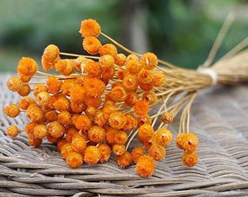 Zeuxs Mini happy flower Artificial flower Shooting props orange