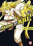 Image de Akame ga KILL! 03