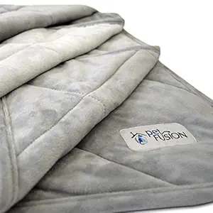PetFusion Premium Plus Quilted Medium Dog Blanket (42x34