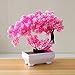 Produktbild szdc88 Pflanzen Bonsai Home Decor Garten Künstliche Tabelle Gefälschte Baum Topf Kunststoff Simulation Kleines Hotel Topf Ornamente Blumen(Pink)