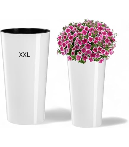 ZANVIC Pot Mod. Sandy Slim 350. Mesure 35 X 61 Cm, Gris, 35 Cm