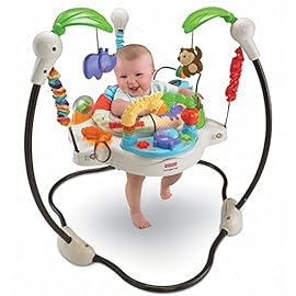 jumperoo deluxe della fisher price
