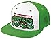 Produktbild Turtles Snap Back Cap (4 Turtles)
